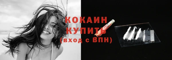 2c-b Горняк