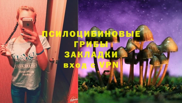 2c-b Горняк