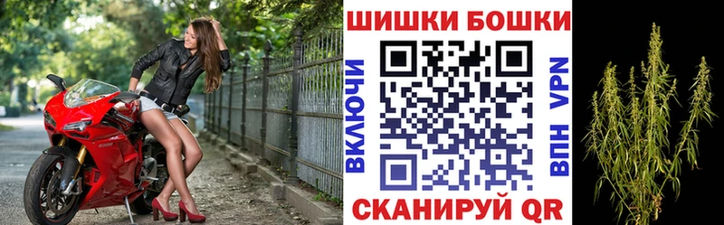 Купить где  Томари  Марихуана OG Kush 